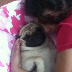 Meet your Posher, Lisa